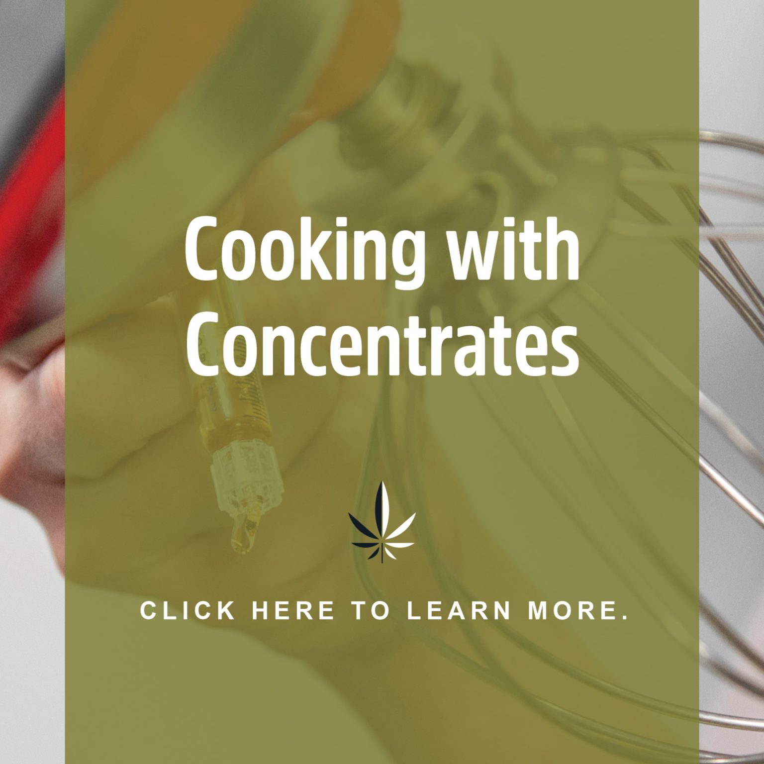 Cooking with Cannabis Concentrates Class | Lancaster, PA | Hempfield Apothecary
