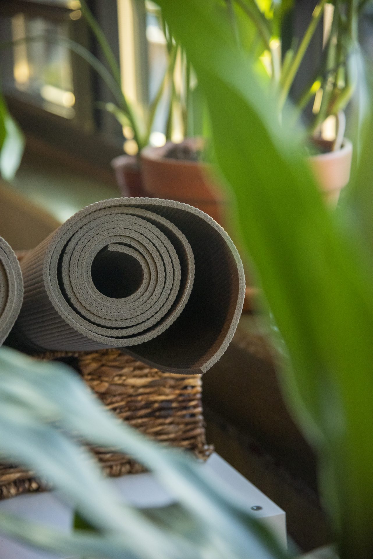 Restorative Yoga | Lancaster, PA | Hempfield Apothetique