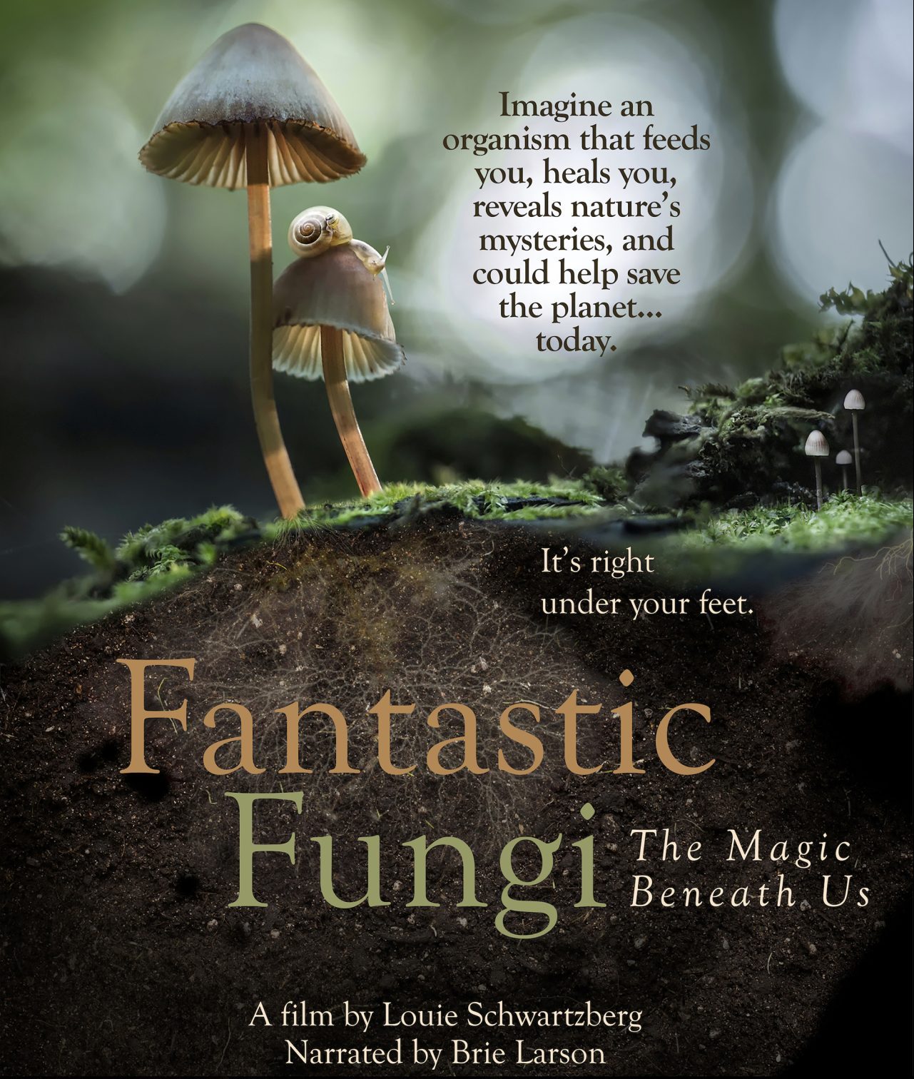 Stoner Movie Night - Fantastic Fungi | Lancaster PA