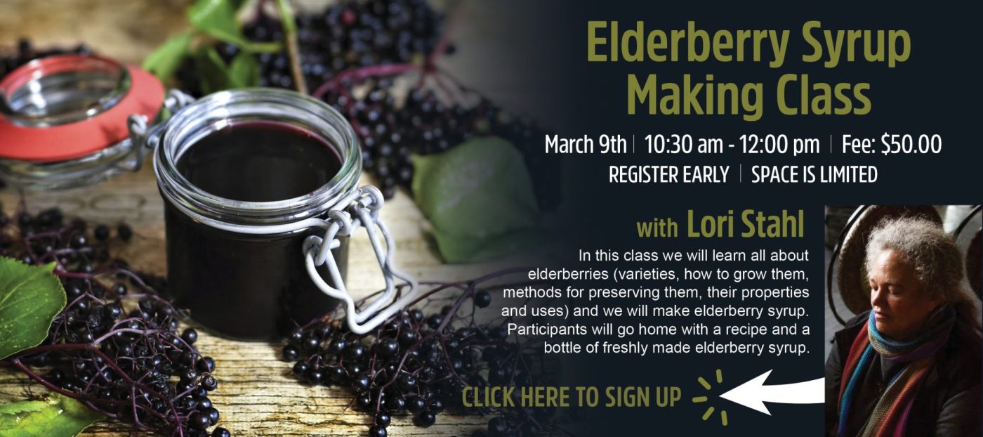 Elderberry Syrup Making Class | Lancaster, PA | Hempfield Apothetique