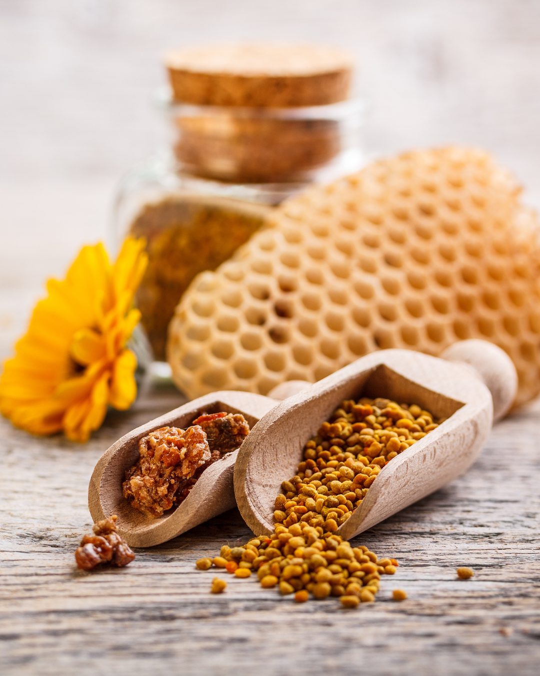 The Hive and the Honeybee Workshop Series | Propolis | Hempfield Apothetique | Lancaster, PA