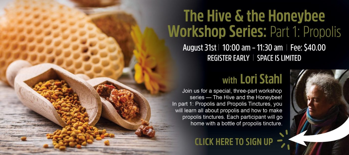 The Hive and the Honeybee Workshop Series | Propolis | Hempfield Apothetique | Lancaster, PA