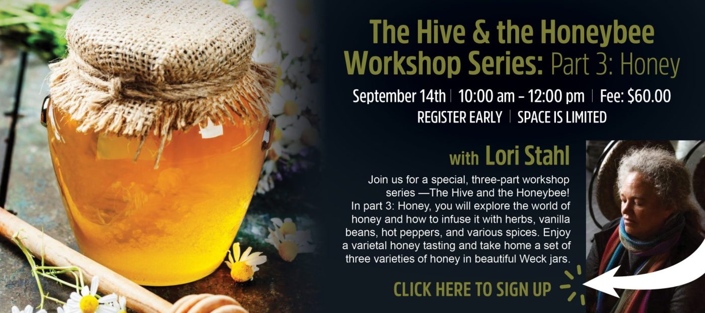 The Hive and the Honeybee Workshop Series | Honey | Hempfield Apothetique | Lancaster, PA