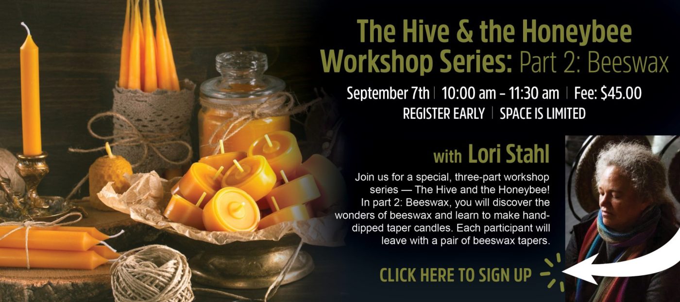 The Hive and the Honeybee Workshop Series | Beeswax | Hempfield Apothetique | Lancaster, PA