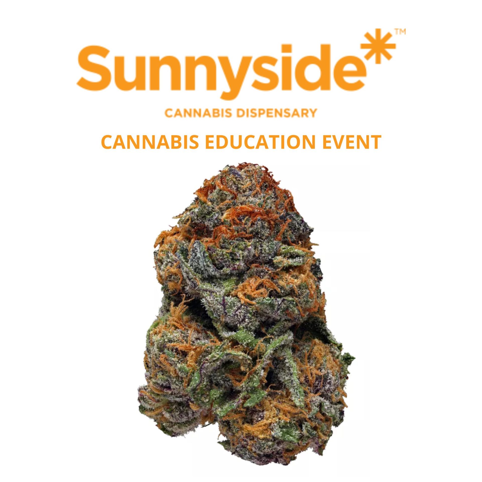 Sunnyside Medical Marijuana Dispensary Education Event | Hempfield Apothetique | Lancaster, PA