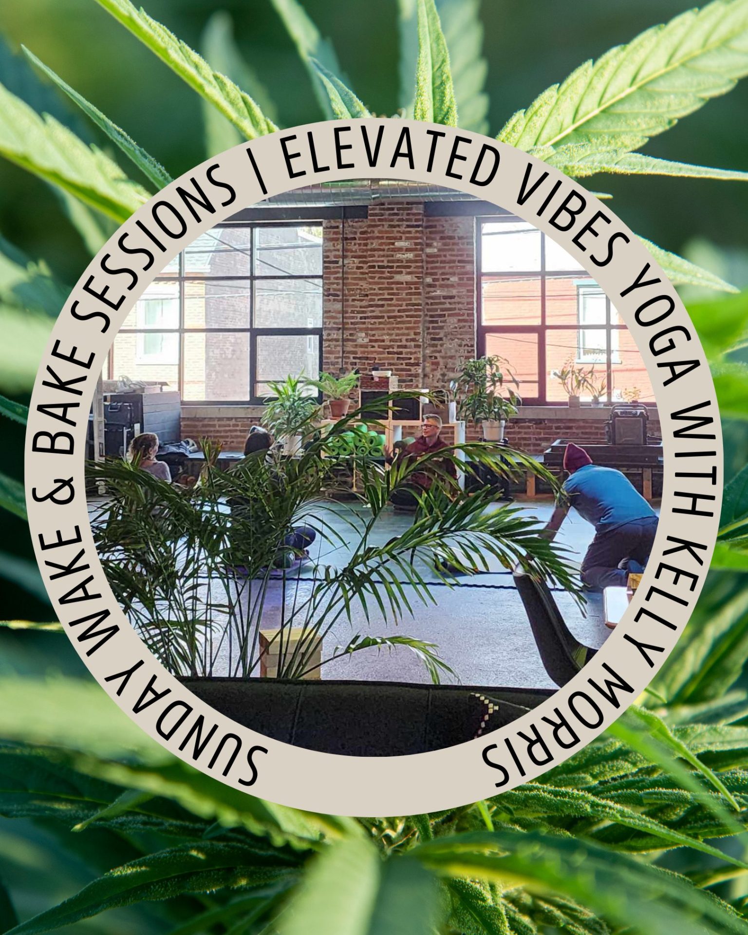 Elevated Vibes Cannabis Yoga with Kelly Morris | Hempfield Apothetique | Lancaster PA